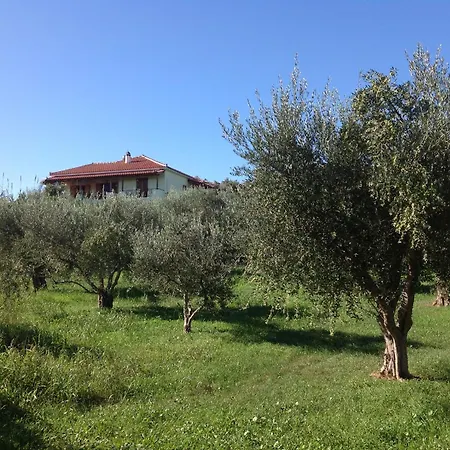 Peaceful Home Amongst Olive Groves By The Sea Koróni Buitenkant foto