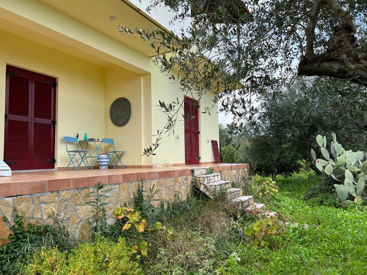 Peaceful Amongst Olive Groves By The Sea