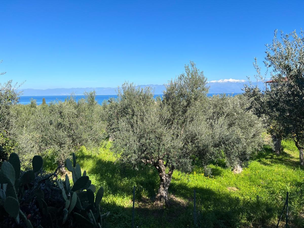 Peaceful Amongst Olive Groves By The Sea *