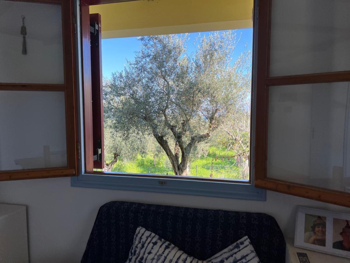 Peaceful Amongst Olive Groves By The Sea *