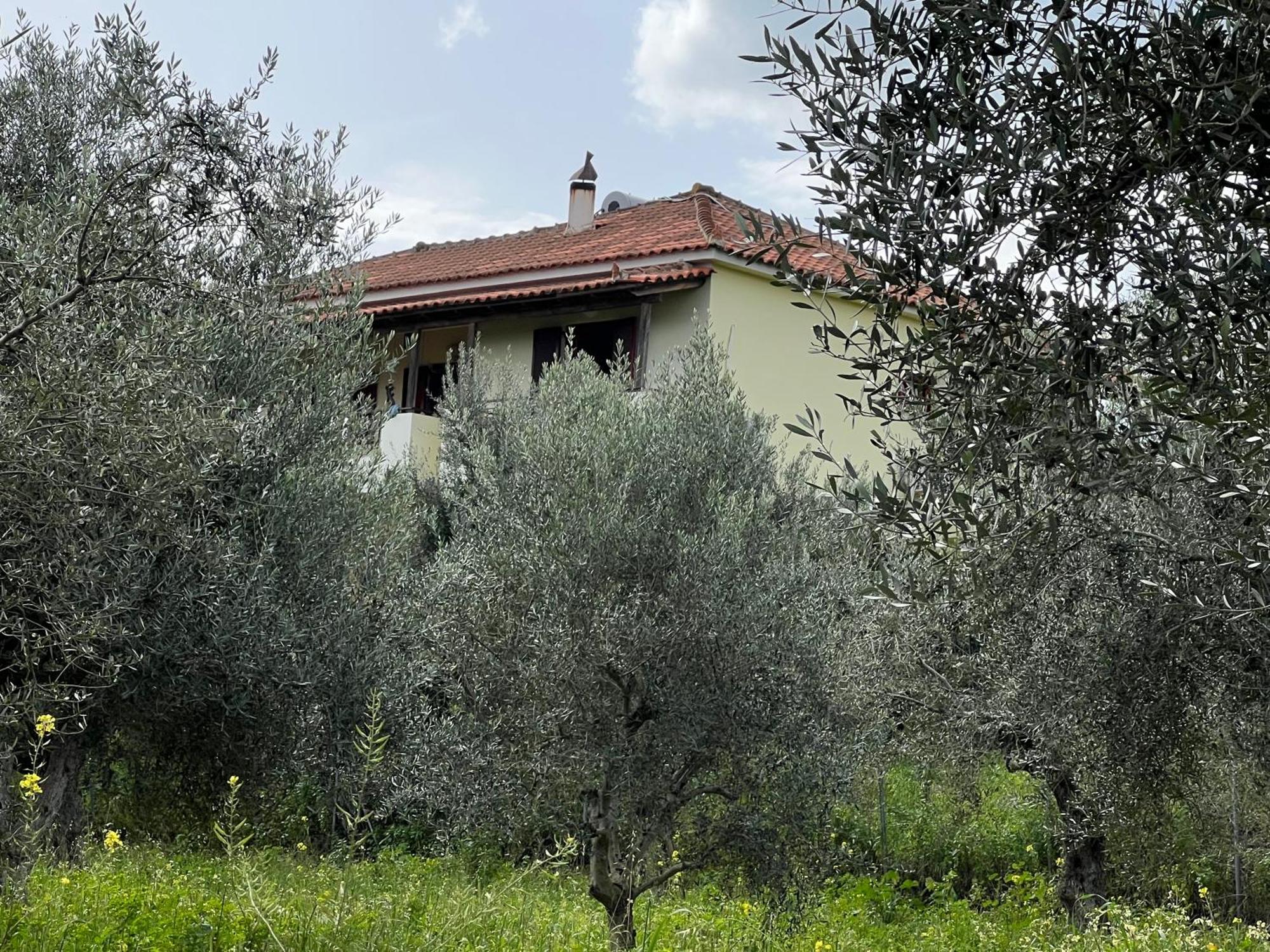 Peaceful Amongst Olive Groves By The Sea Holiday home Koroni (Messinia)