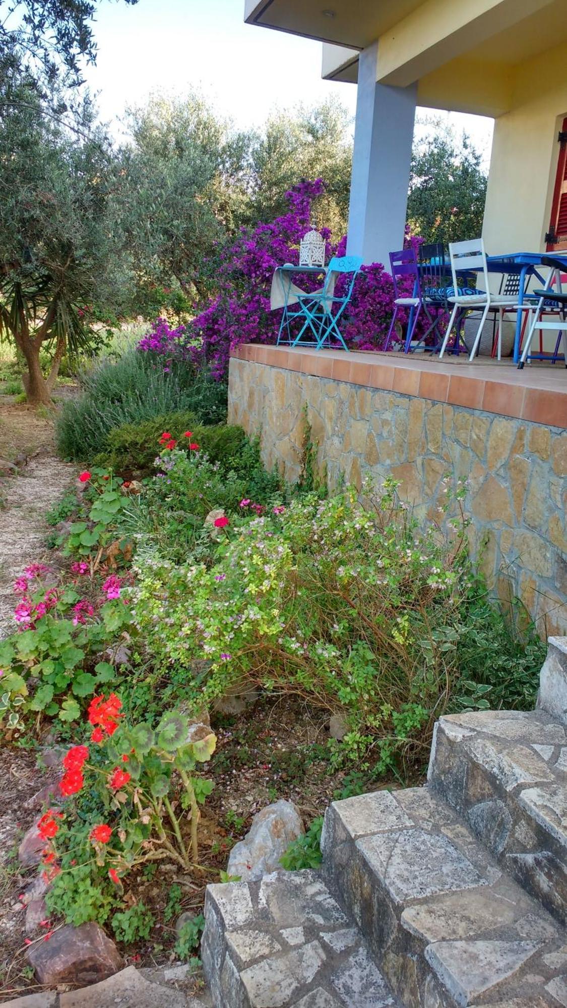 Peaceful Amongst Olive Groves By The Sea
